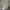 Minimalist Casual Pria white gray photo 2