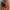 Evisu Streetwear Y2K Bomber jacket Pria orange photo 2