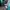 Casual Casual shoe Pria green photo 6