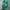Casual Casual shoe Pria green photo 4