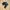 Nike Cottagecore Casual Sneakers Pria Black