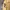 Pearly Gates Casual Hoody Pria cream photo 3