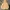 Pearly Gates Casual Hoody Pria cream photo 1