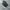 Nike Casual Sneakers Pria white black photo 5
