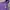 Schott NYC Casual Hoody Pria purple photo 3
