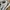 Nike Casual Sneakers Pria white tan photo 2
