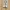 Nike Casual Sneakers Pria white tan photo 3