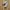 Nike Casual Sneakers Pria white tan photo 1