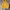 OiOi Casual Hoody Pria yellow photo 1