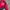 Umbro Sportswear Jersey Pria black red photo 2