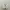 Asics Sportswear Casual Sneakers Wanita white photo 5