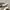 Nike Casual Sneakers Pria white brown photo 2
