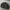 The North Face Gorpcore Sportswear Jumper Pria black photo 4