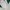 Nike Vintage Y2K Windbreaker Pria green white photo 4