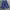 ECKO UNLTD Vintage Y2K Short Pria navy blue photo 5