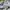 Dunlop Sportswear Jersey Pria white photo 3