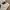 Adidas Casual Sneakers Wanita multicolor white photo 2