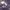 Superdry Casual Hoody Pria purple photo 3