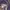 Superdry Casual Hoody Pria purple photo 4