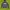 Kangol Casual Hoody Pria navy photo 1