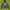 Kangol Casual Hoody Pria Navy