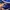 Nike Casual Track jacket Pria blue yellow photo 5