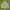Abercrombie & Fitch Casual Hoody Pria gray photo 1