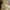 Gucci Luxury Casual Crossbody Bag Wanita gold brown photo 5