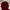 Thisisneverthat Casual Sweatshirt Pria Burgundy