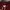 thisisneverthat Casual Sweatshirt Pria burgundy photo 3