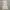 Zara Luxury Casual Maxi dress Wanita multicolor photo 1