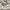 Zara Luxury Casual Maxi dress Wanita multicolor photo 8
