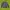 Pancoat Casual Sweater Pria navy photo 1