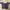Casual Crop Top Wanita Purple White