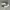 Nike Casual Sneakers Pria silver photo 4