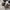Adidas Casual Sneakers Pria multicolor photo 6