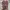 Adidas Casual Sneakers Pria multicolor photo 5