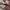 Adidas Casual Sneakers Pria multicolor photo 3