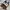 Adidas Casual Sneakers Pria multicolor photo 2