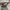 Adidas Casual Sneakers Pria multicolor photo 4