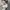MLB Luxury Minimalist Hoody Pria gray photo 6