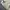 MLB Luxury Minimalist Hoody Pria gray photo 3