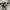 Adidas Casual Sneakers Pria green photo 4