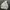 Guess Y2K Luxury Hoody Pria white photo 2