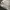 Guess Y2K Luxury Hoody Pria white photo 3