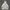 Guess Y2K Luxury Hoody Pria white photo 1