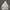 Guess Y2K Luxury Hoody Pria White