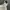 Guess Y2K Luxury Hoody Pria white photo 4