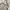 Guess Y2K Luxury Hoody Pria white photo 5