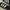 Adidas Casual Sneakers Pria white black photo 2